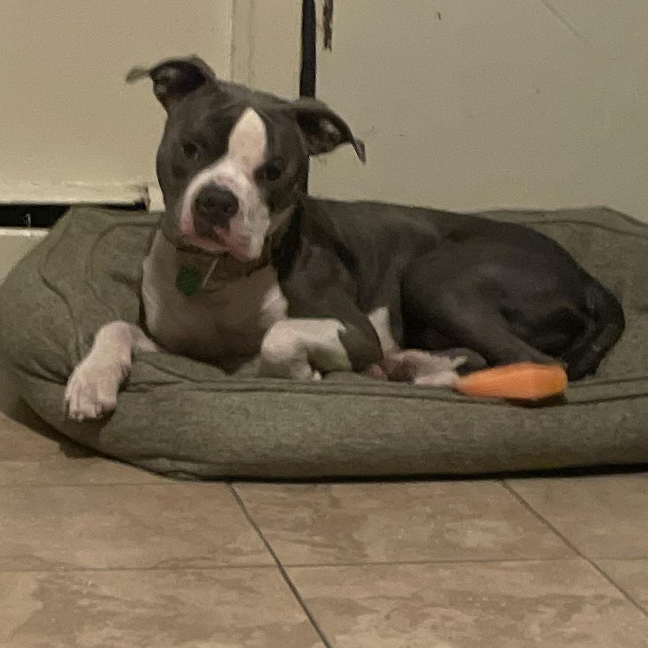 Tater