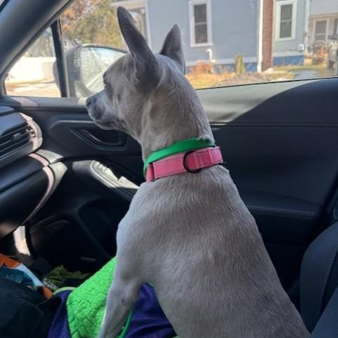 Blonde — thumbnail 5