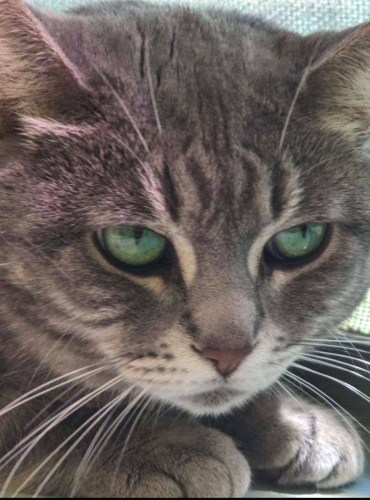 MARIBBA — thumbnail 2