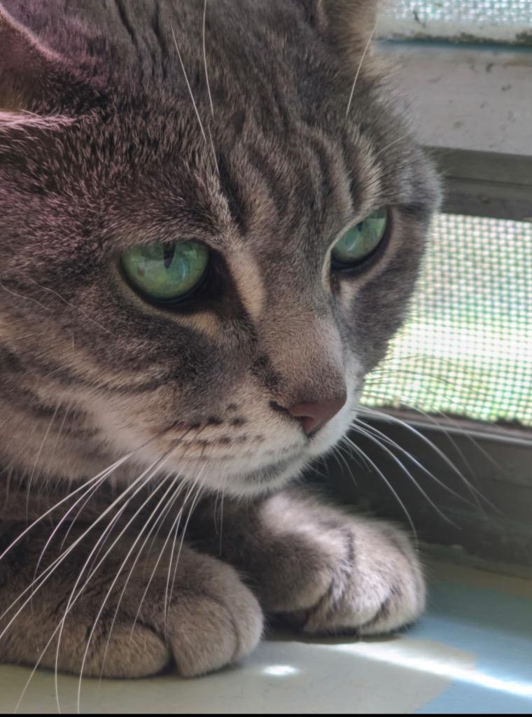 MARIBBA — thumbnail 4