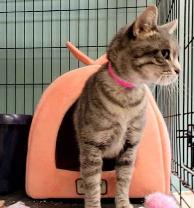 MARIBBA — thumbnail 5