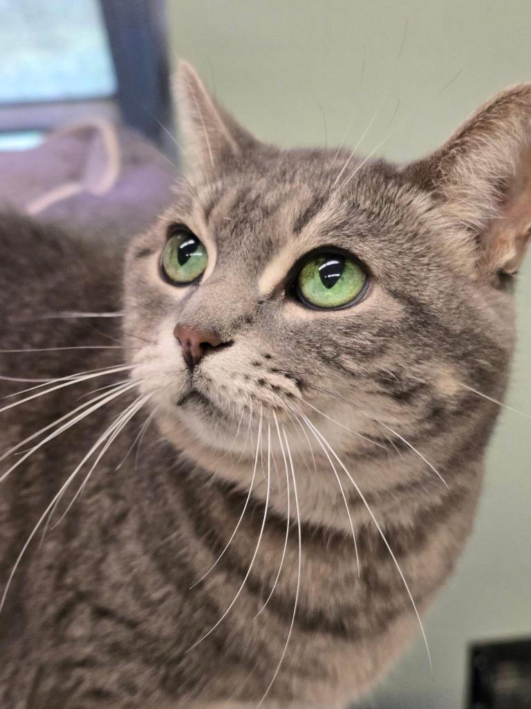 MARIBBA — thumbnail 6