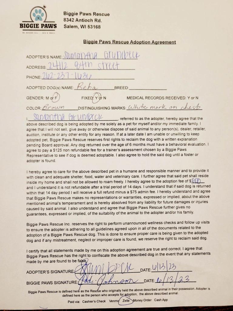 Enlarge Reba, a Adoptable mixed breed in Bristol, WI image 6/6