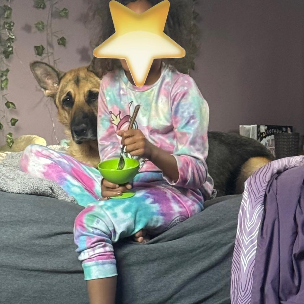 Aurora, Adoptable, Adult Female German Shepherd Dog.