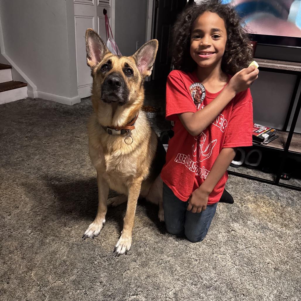 Aurora, a Adoptable German Shepherd Dog in Northville, MI image 3/4