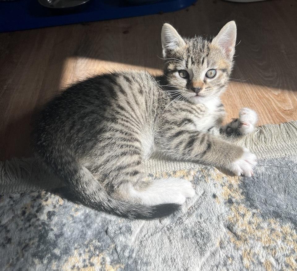 Julie — thumbnail 3