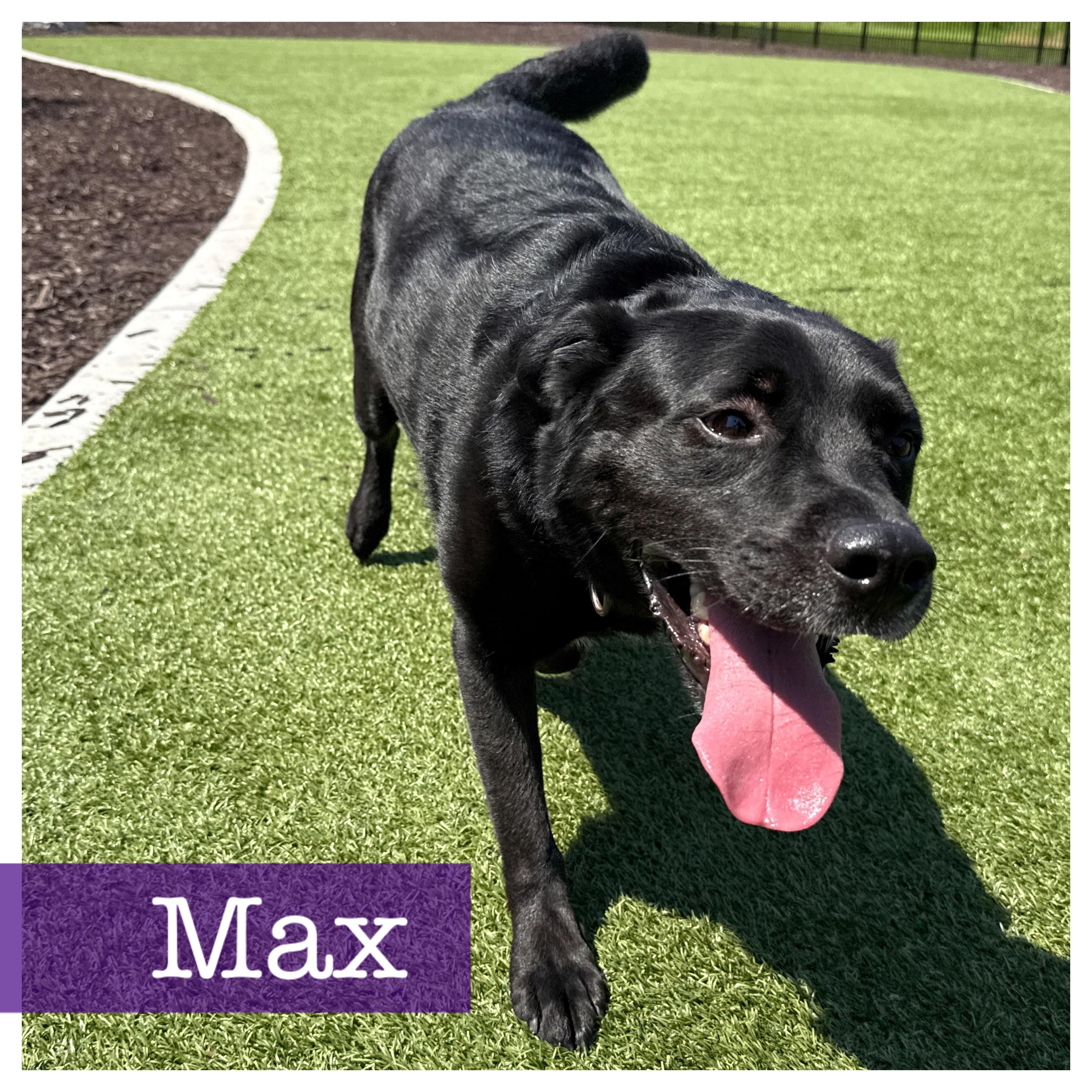 Max