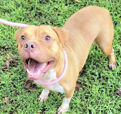 Simba — thumbnail 2