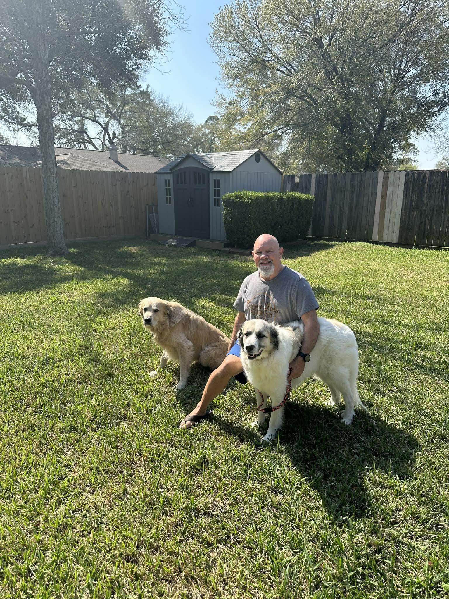 Enlarge Baby (Sophie at adoption), a Adopted mixed breed in Houston, TX image 2/3