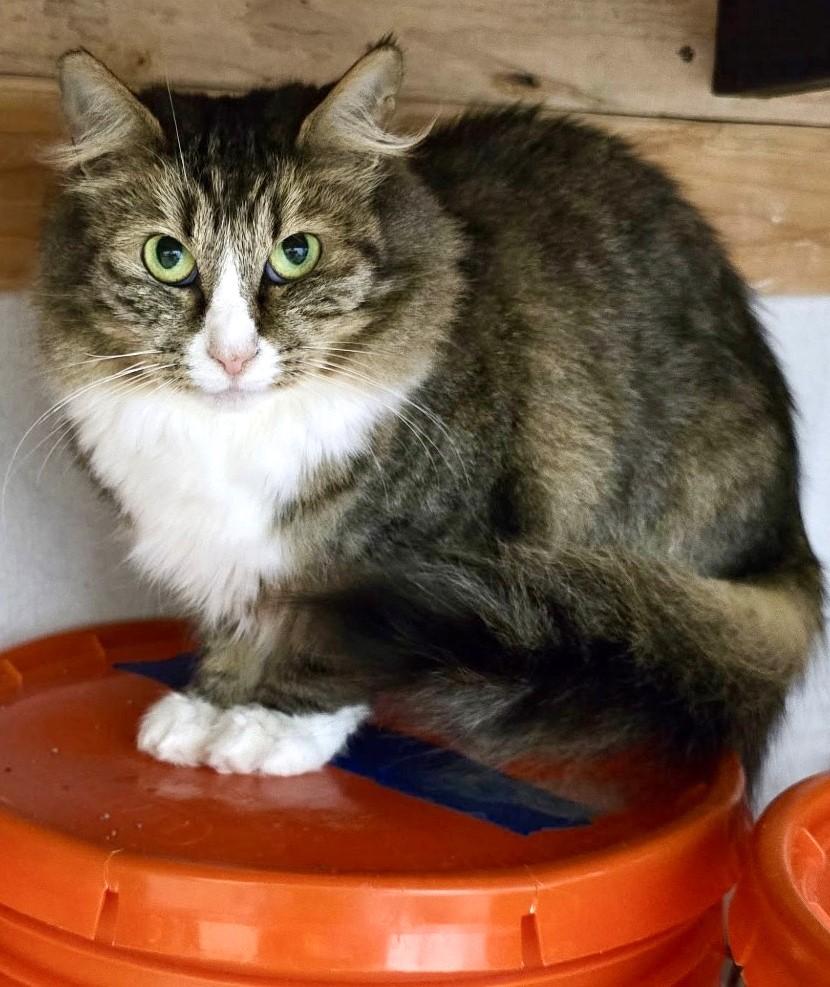 Matilda  Loving But thumbnail 2