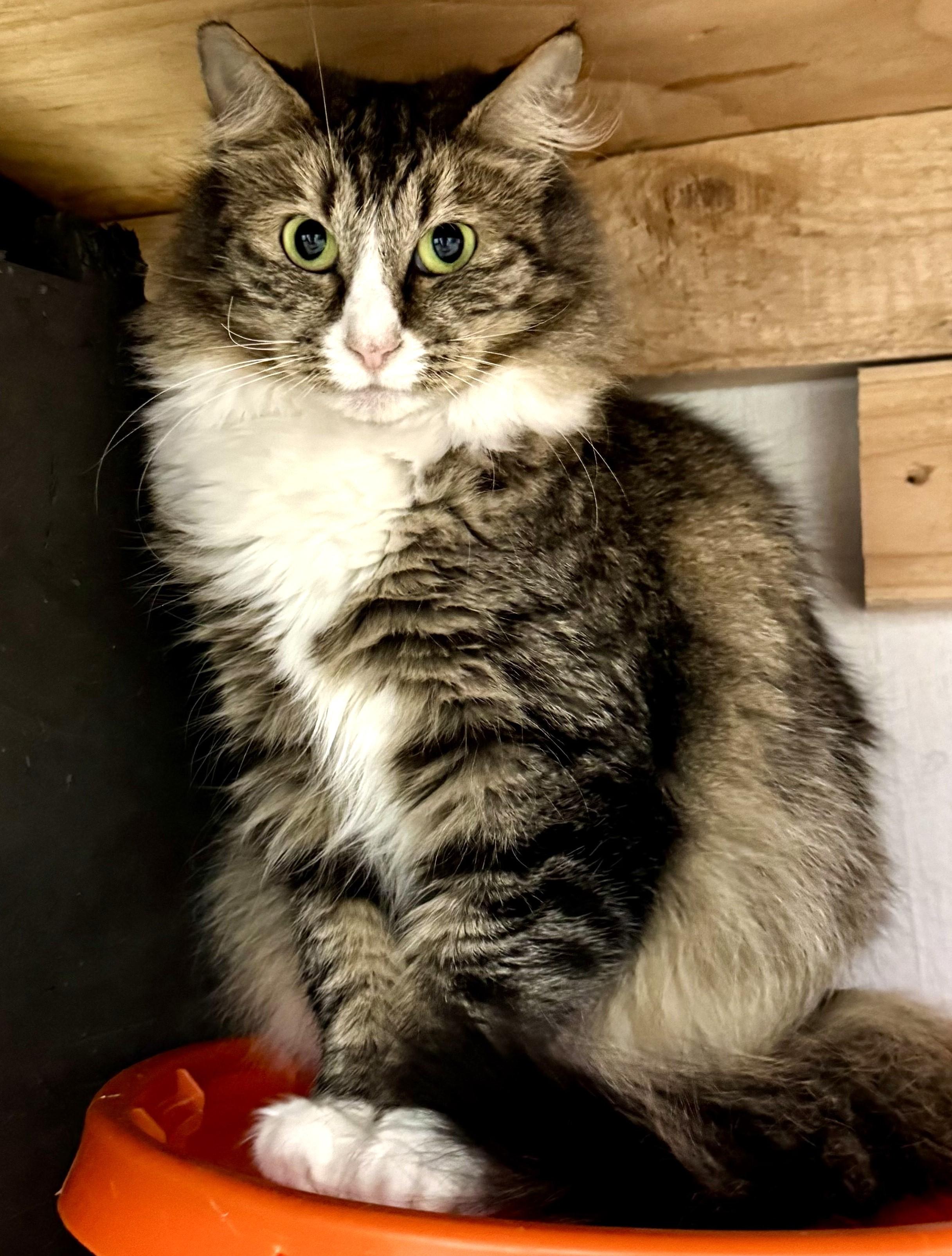 Matilda  Loving But thumbnail 3