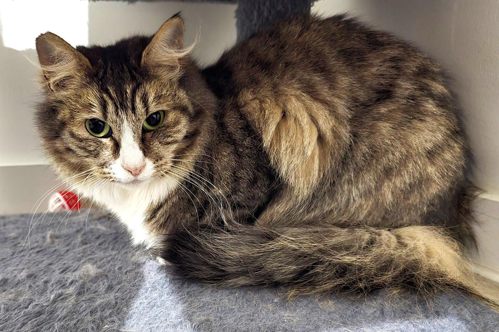 Matilda  Loving But thumbnail 4