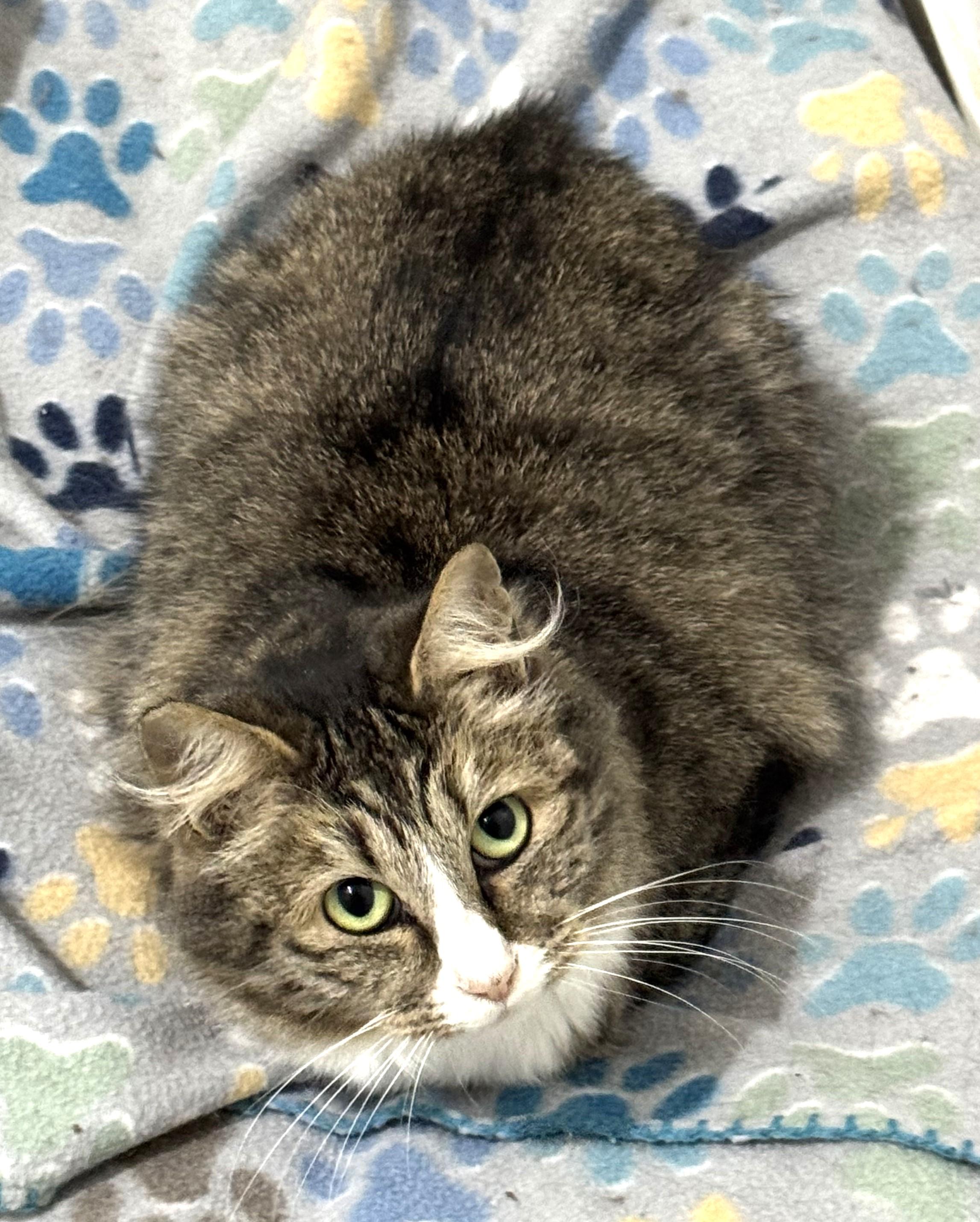 Matilda  Loving But thumbnail 5