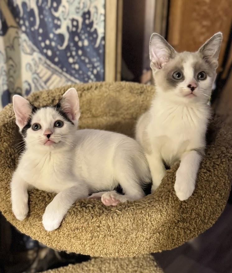 Selene- bonded with Spirit