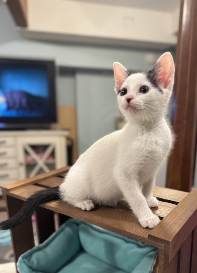 Selene- bonded with Spirit