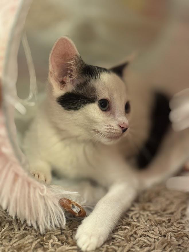 Selene- bonded with Spirit