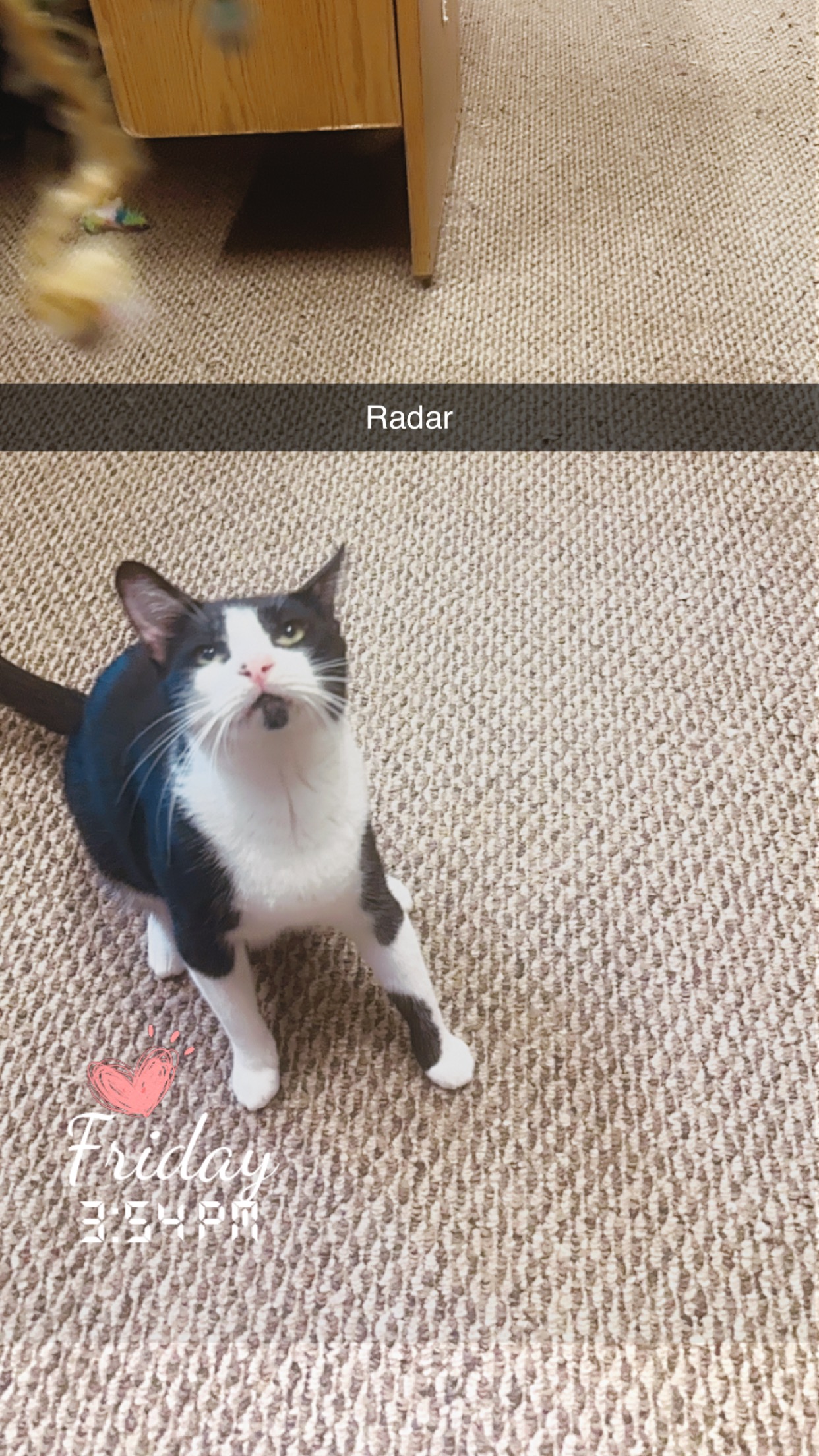 Radar