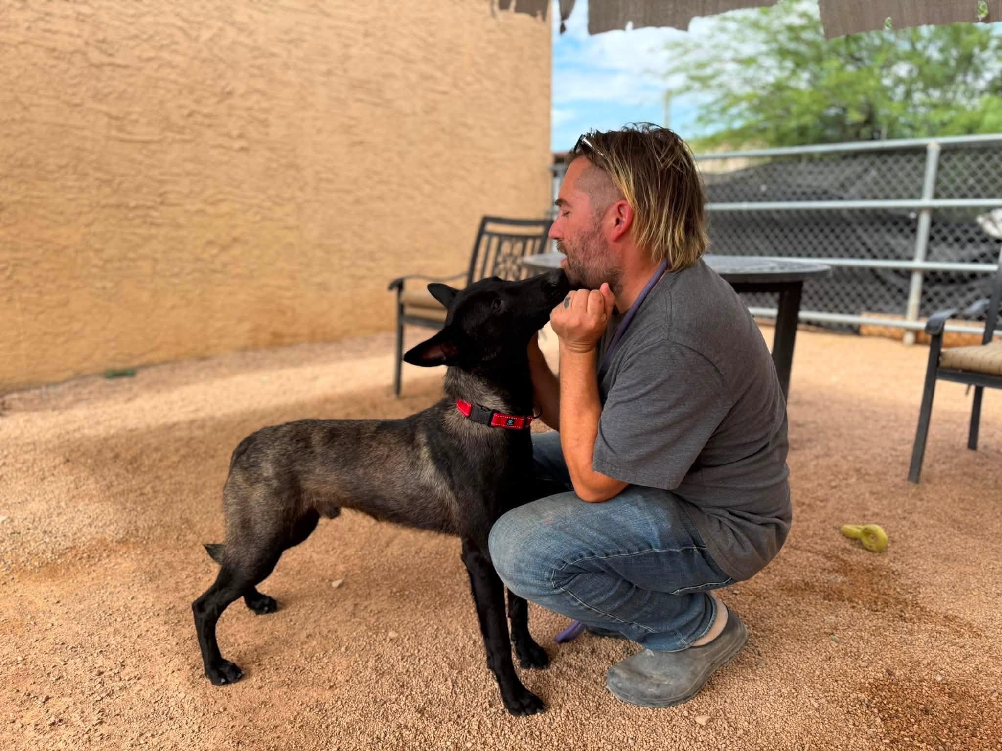 Enlarge Ricky, an adopted mixed breed in Glendale, AZ image 4/5