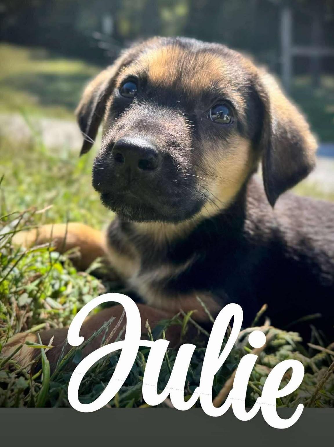 Julie
