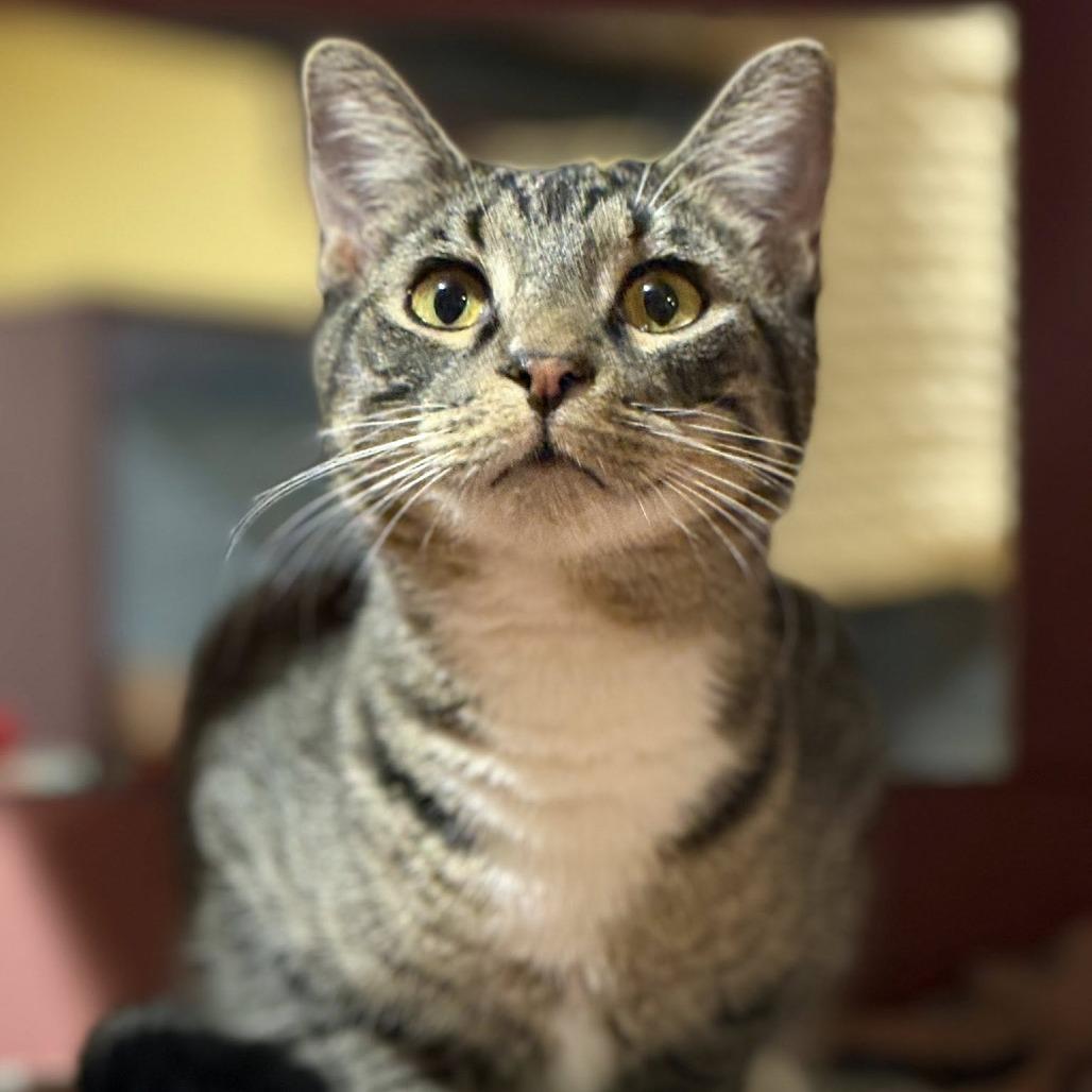 Dusty Bottoms — thumbnail 2