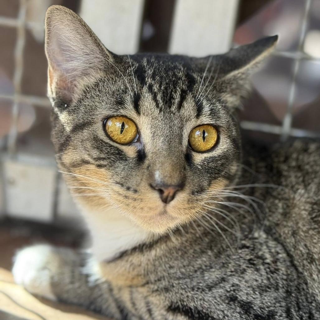 Dusty Bottoms — thumbnail 3