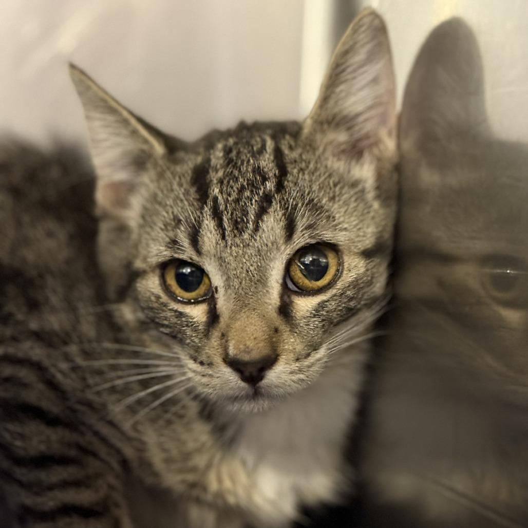 Dusty Bottoms — thumbnail 4