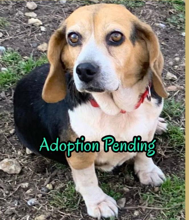 Tina — thumbnail 3