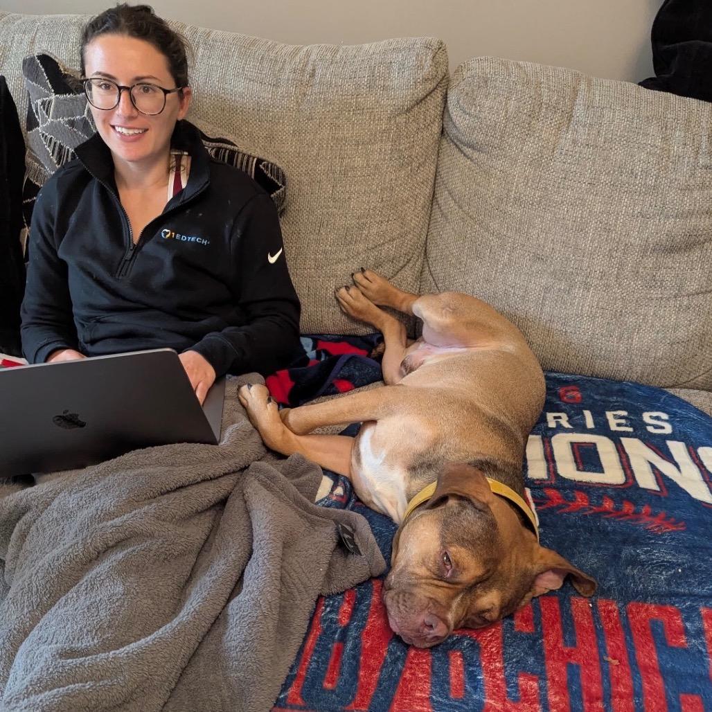 Enlarge Gino, a Adoptable Pit Bull Terrier in Chicago, IL image 2/6