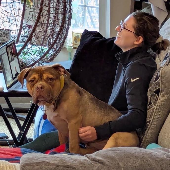 Enlarge Gino, a Adoptable Pit Bull Terrier in Chicago, IL image 3/6