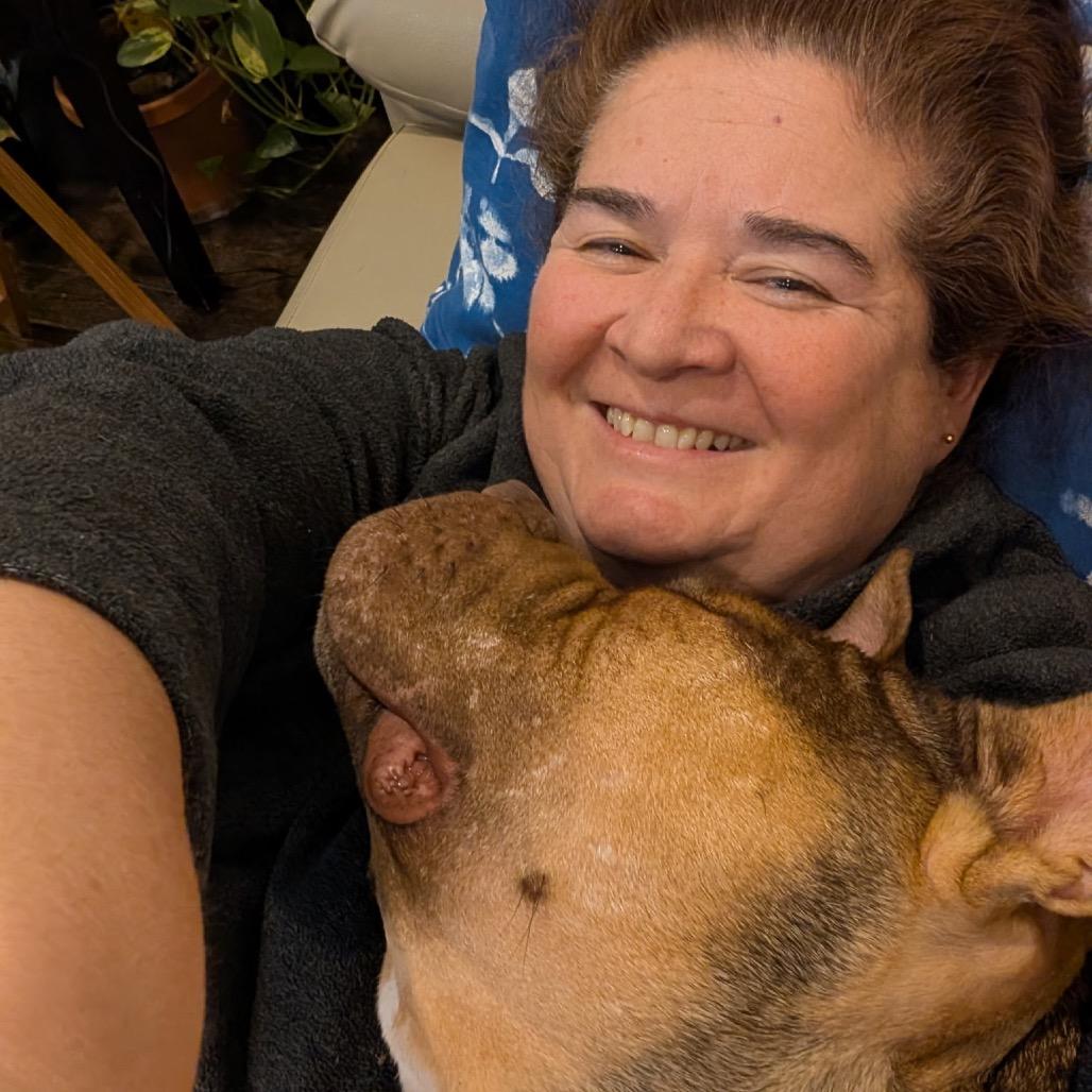 Enlarge Gino, a Adoptable Pit Bull Terrier in Chicago, IL image 3/6