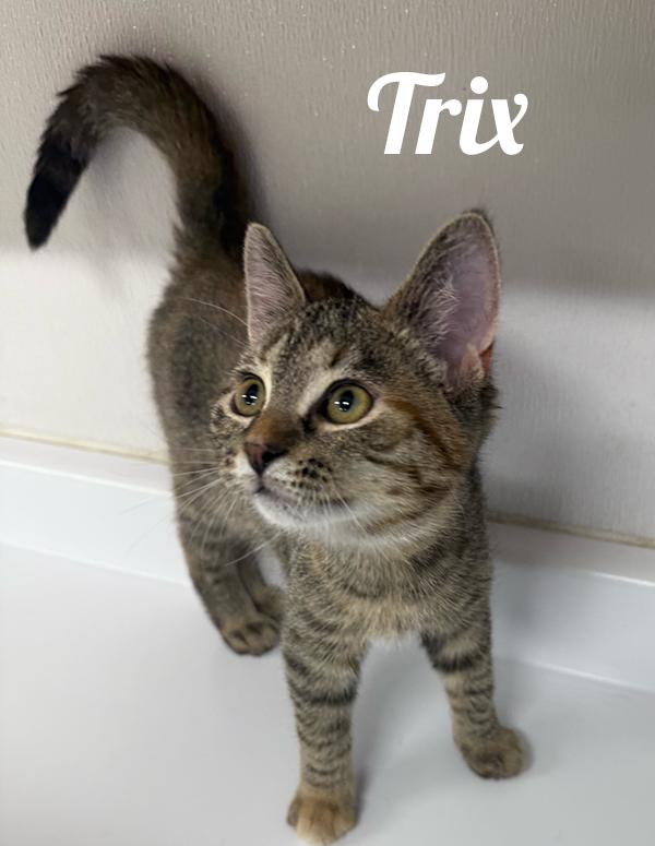 Trix