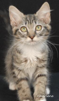 Sammie, Baby Female unknown