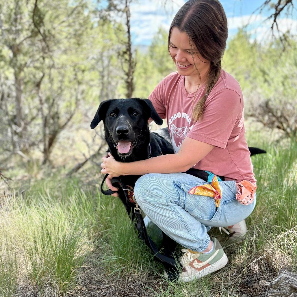 Gwen, a Adoptable mixed breed in Glenwood Springs, CO image 4/6