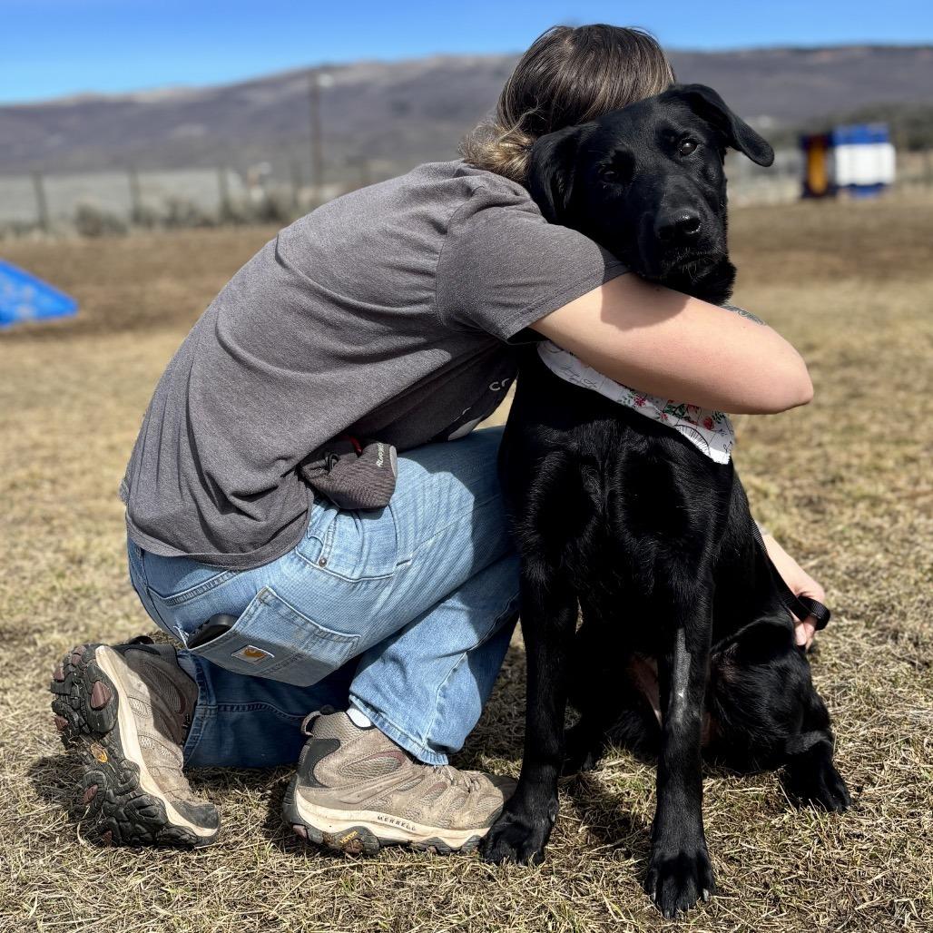 Enlarge Gwen, a Adoptable mixed breed in Glenwood Springs, CO image 6/6