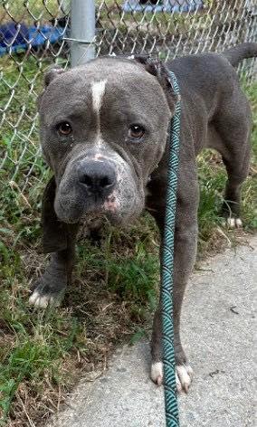 Tyson