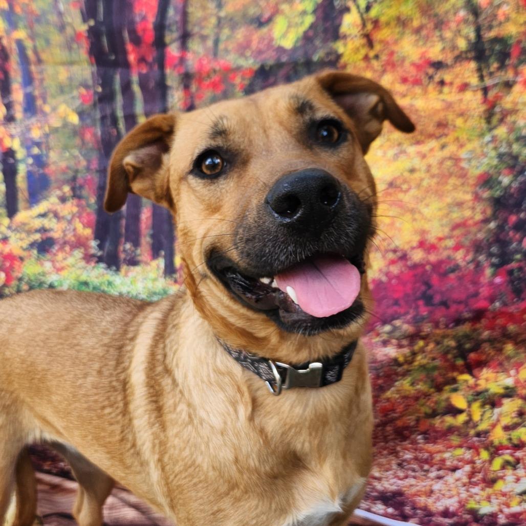 Brooke KA — thumbnail 3