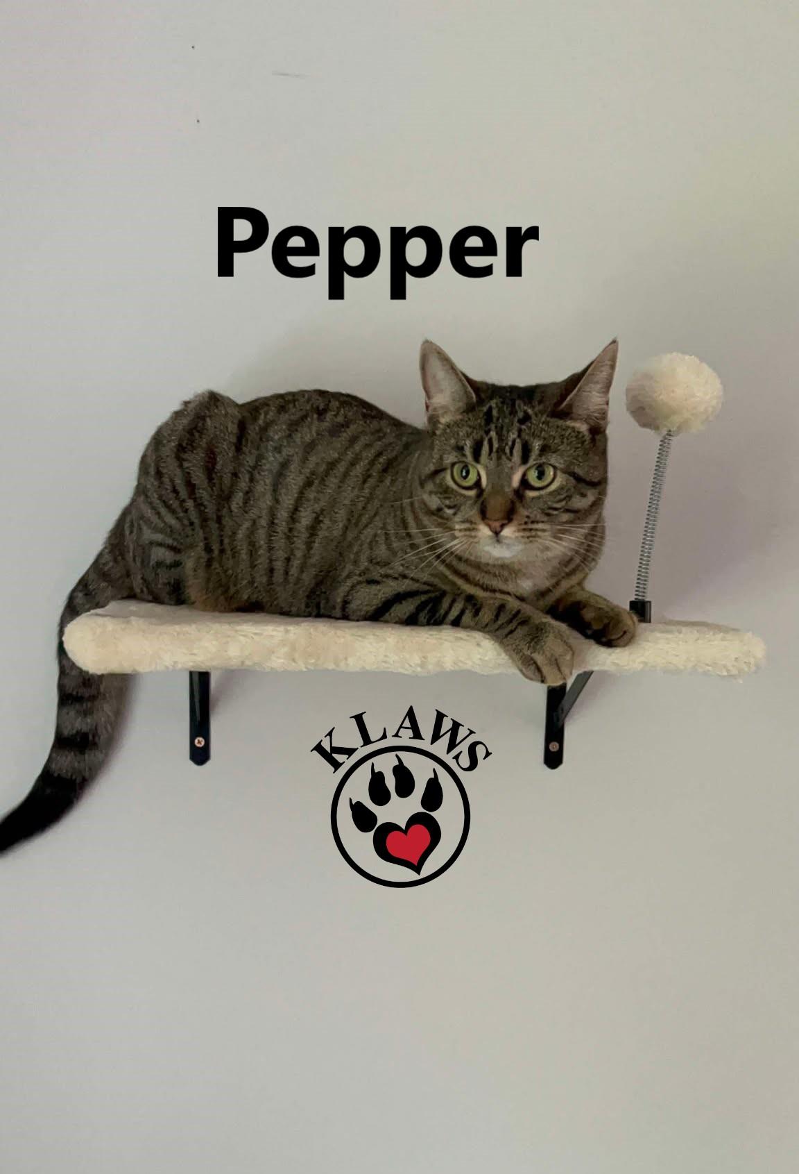 Pepper