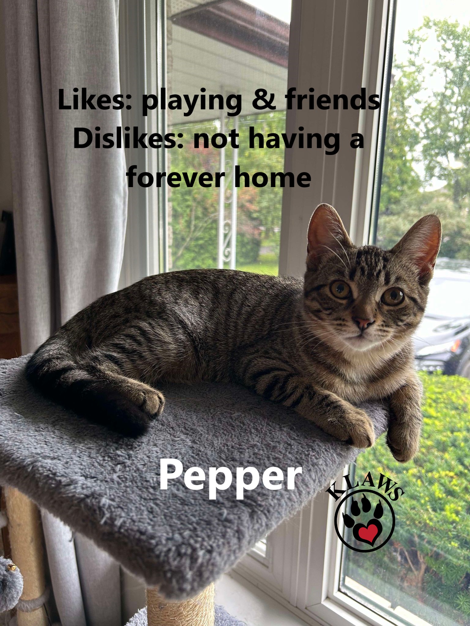 Pepper