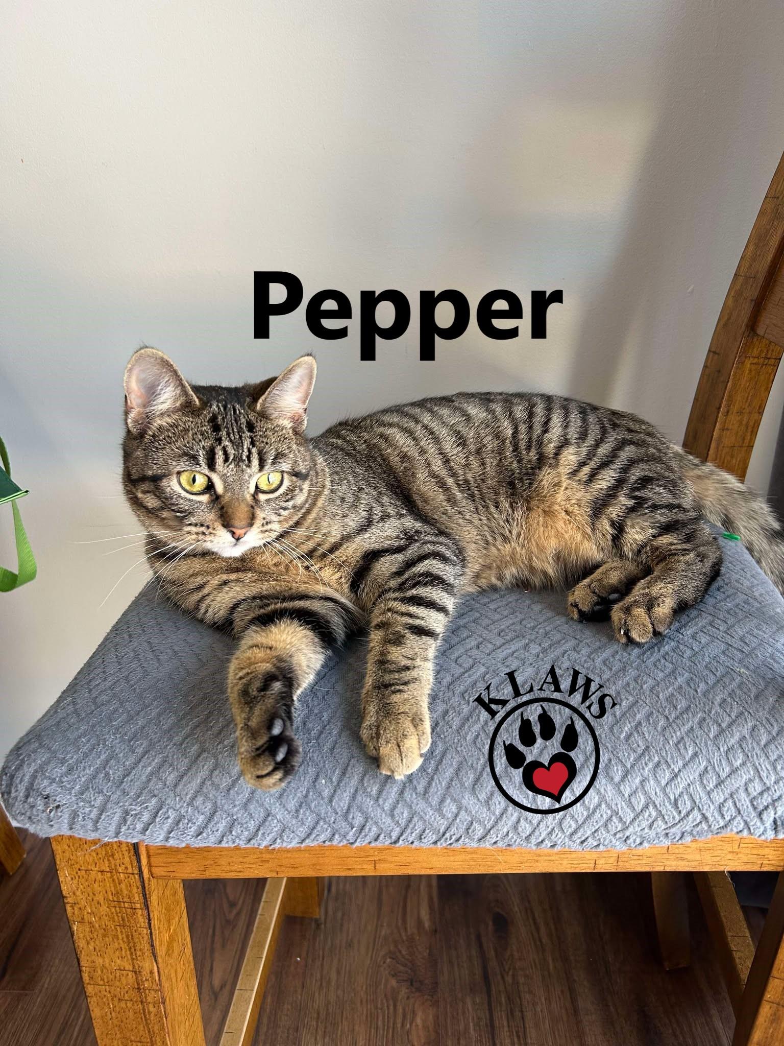 Pepper