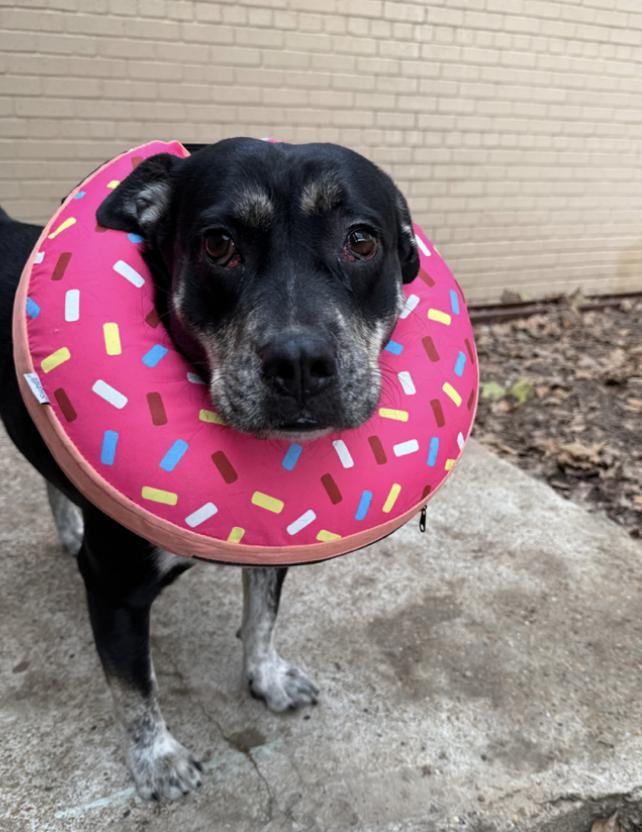 Glow : Sweet and Submissive Girl — thumbnail 2