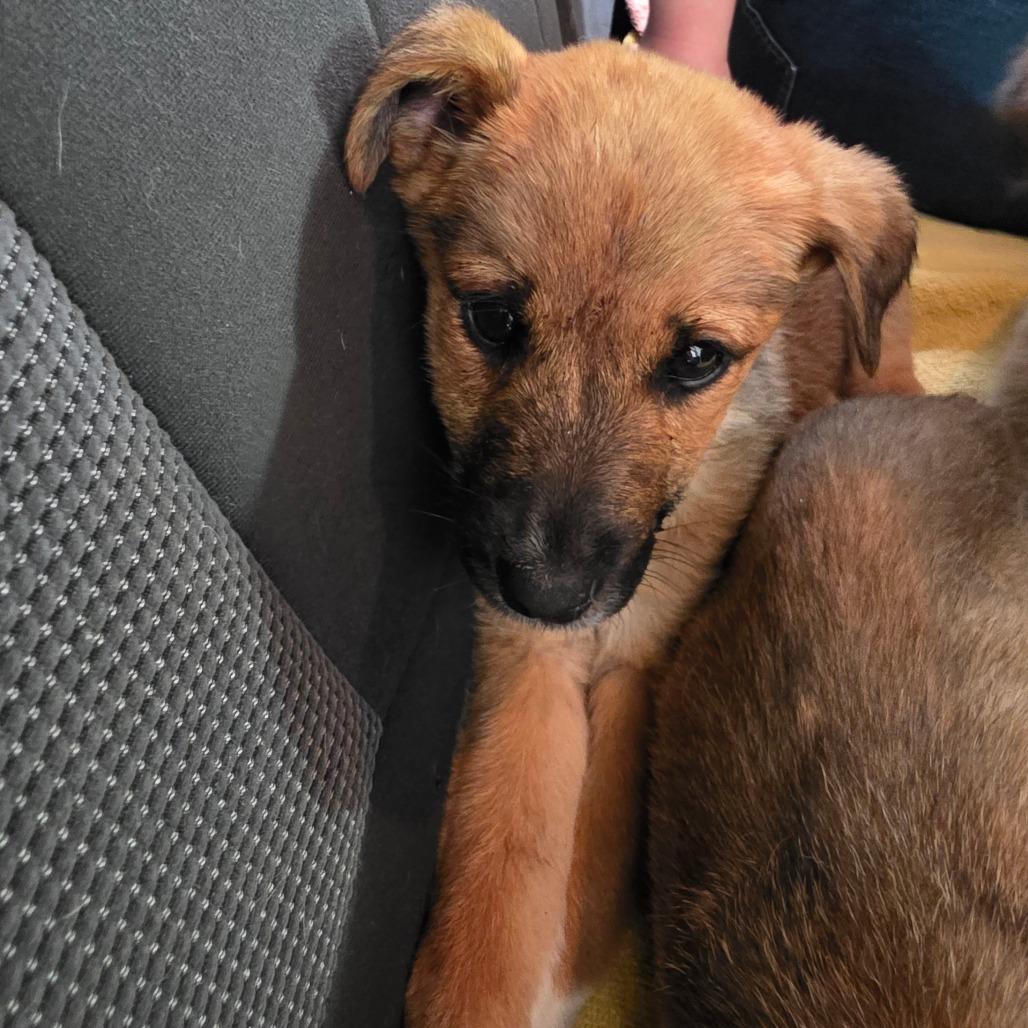 Silver Medal — thumbnail 2