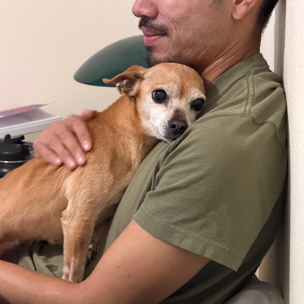 Marsy, a Adoptable mixed breed in San Mateo, CA image 5/5