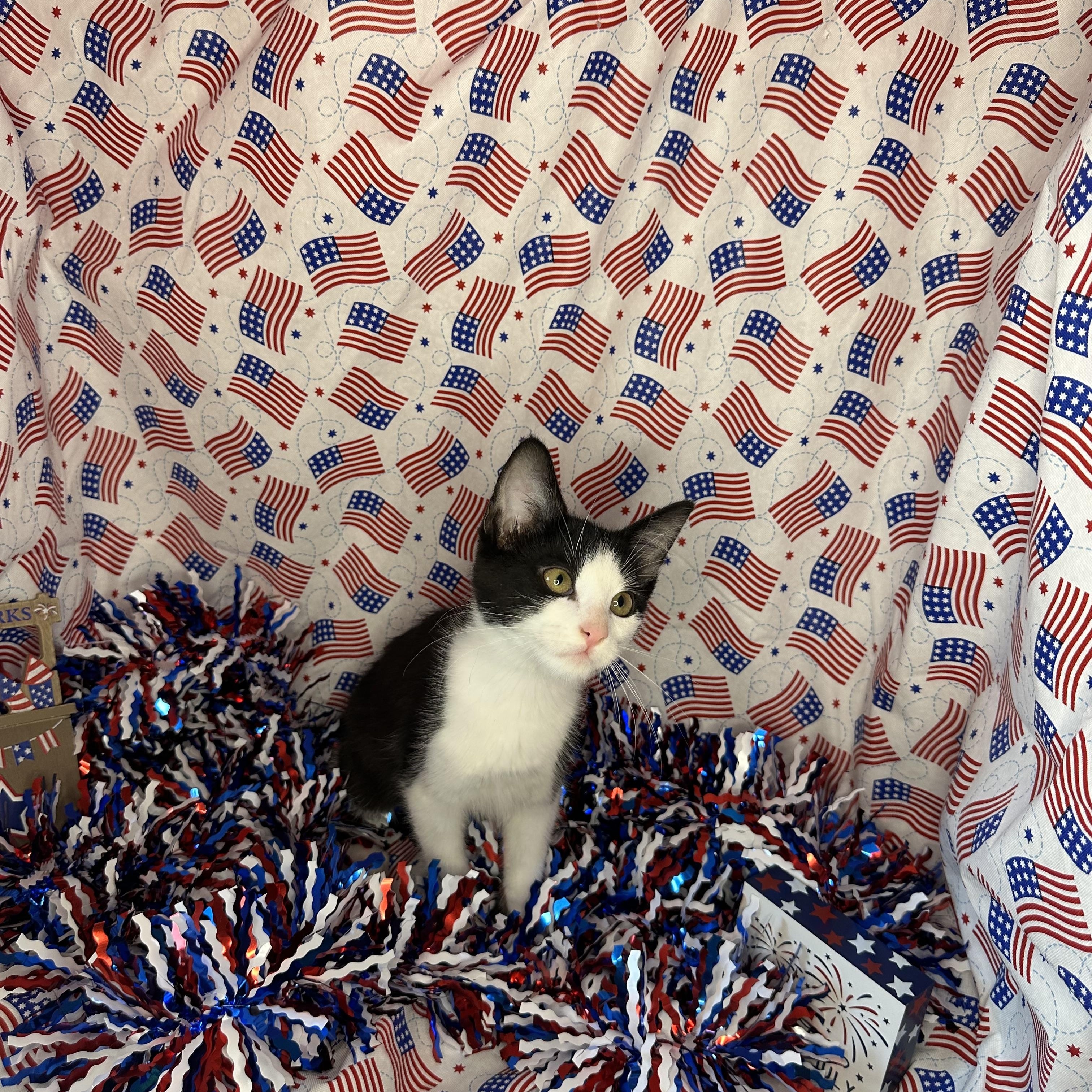 Taffy