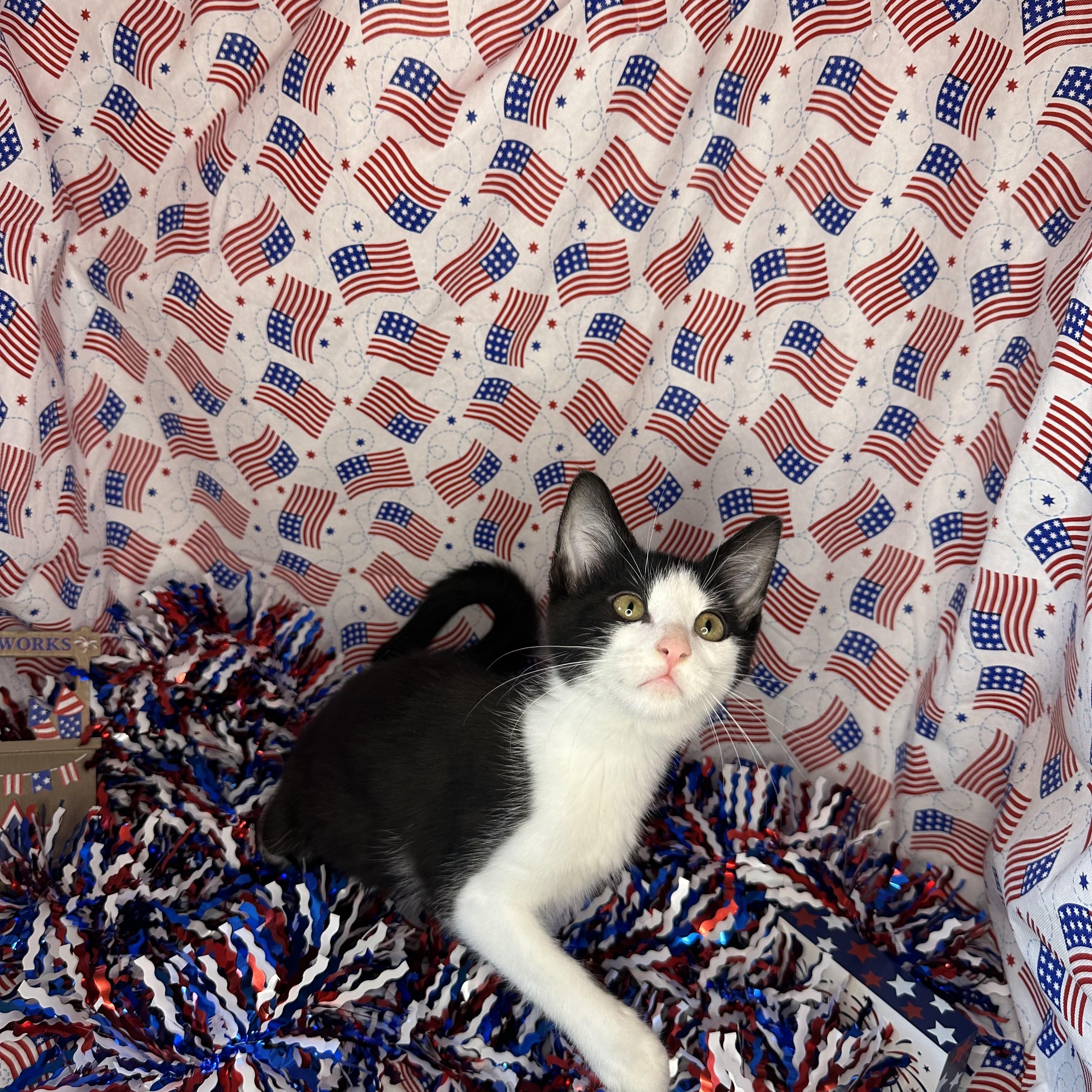 Taffy