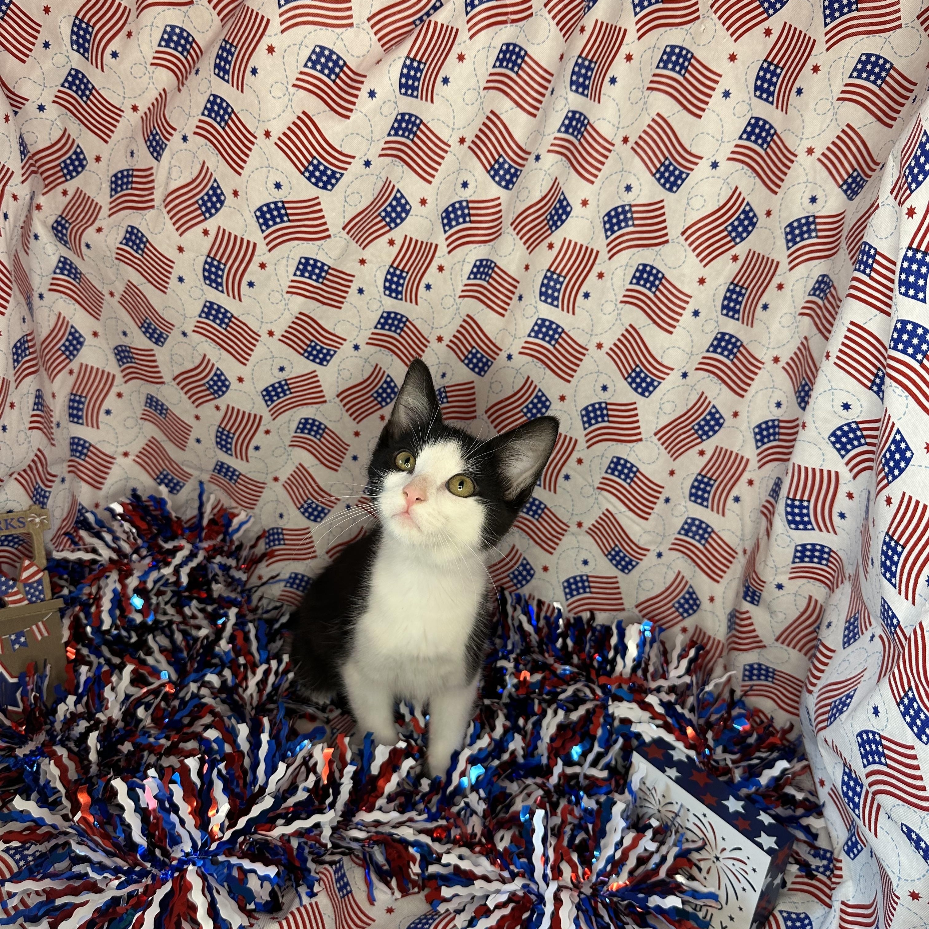 Taffy