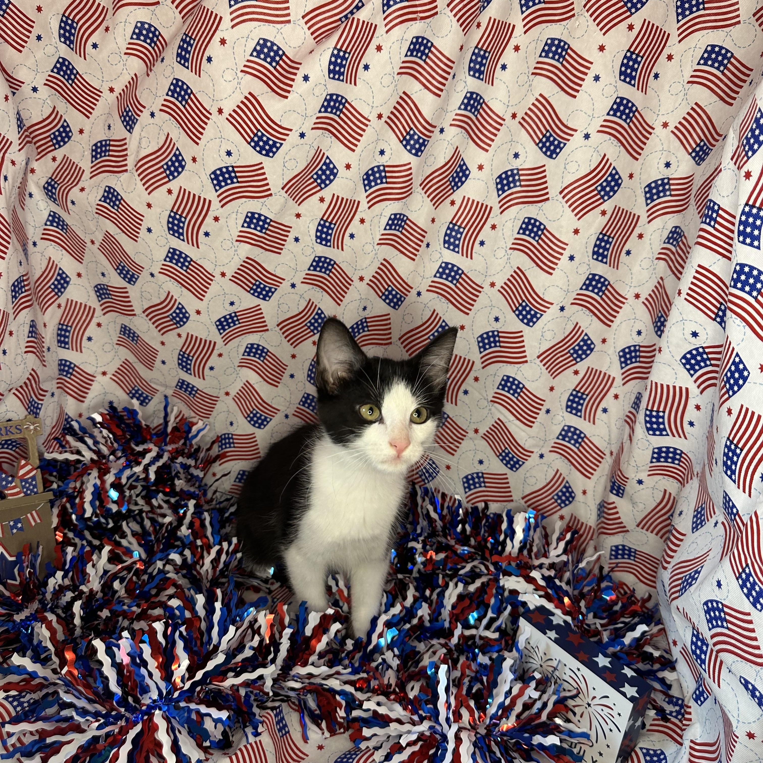 Taffy