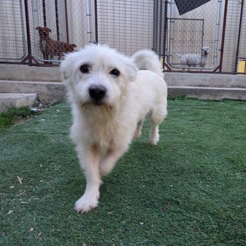 Tofu — thumbnail 4