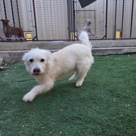 Tofu — thumbnail 5