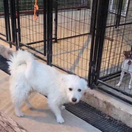 Tofu — thumbnail 6