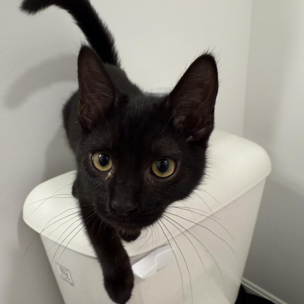 Mike Wazowski thumbnail 3